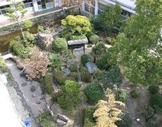 中庭の緑豊かな庭園
