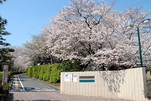 [ 11位] 静岡県立浜松西高等学校中等部