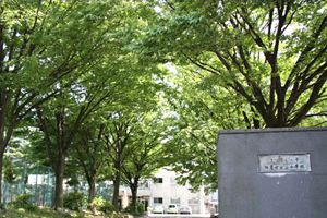 [東京都 6位] 東京学芸大学附属世田谷中学校