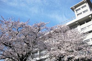 [神奈川県 3位] 北鎌倉女子学園中学校