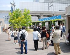 ビオトープ、野菜園があるエコ・ガーデン
