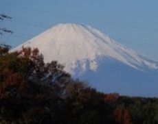 敷地内からは富士山が眺望できる