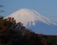 敷地内からは富士山が眺望できる
