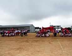 体育祭の応援の様子