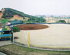 甲子園球場より一回り大きい公式野球場
