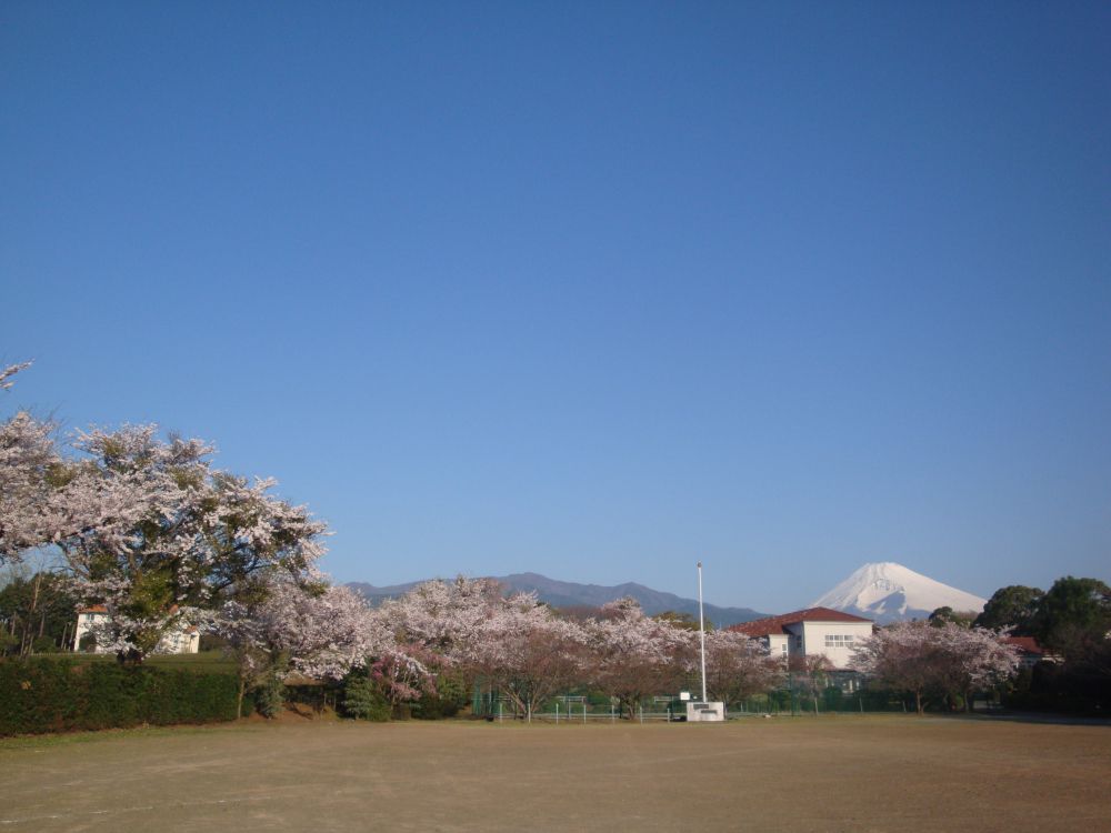 広大で豊かな自然に囲まれた校庭
