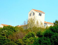 学校の周りは豊かな自然に囲まれている