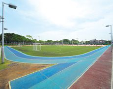 しっかりと整備されたグラウンド