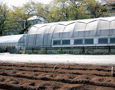 園芸の授業などで花や野菜を育てる実習園
