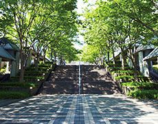 やる気の満ちる校舎までの学園通り
