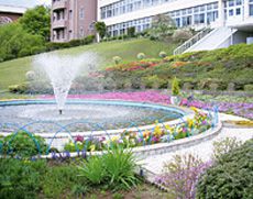 噴水と花壇の彩やかな景観が楽しめる庭