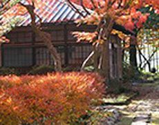 夕日に染まって美しい伏見庭園