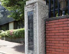 社会で活躍貢献できる女性になる