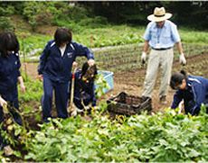 自然とつながる教育を行うための畑地
