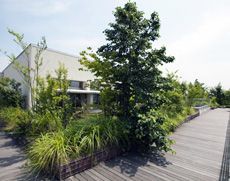 多摩丘陵の自然を移植した理科庭園
