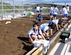 実学教育に沿って利用される屋上菜園
