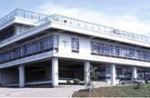 謙虚さや誠実さを大切に育てる