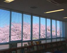 「成長する有機体」を体現する図書館