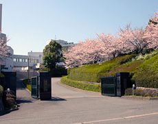 各分野での学校文化の最高峰をめざす
