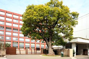 [東京都の私立中学校 偏差値ランキング（2023年度） 11位] 海城中学校