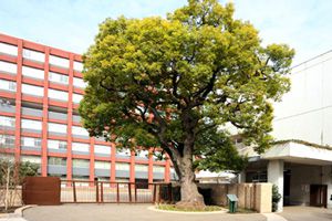 [東京都 2位] 海城中学校