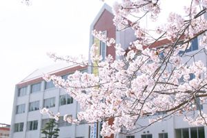 [宮崎県の私立中学校 偏差値ランキング（2022年度） 8位] 尚学館中学校